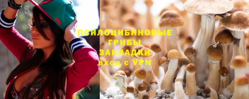 Псилоцибиновые грибы Magic Shrooms  blacksprut tor  Вельск 