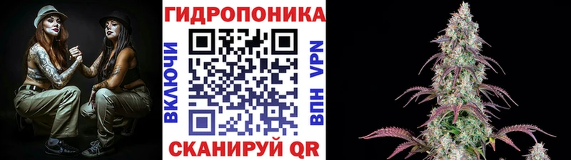 Шишки марихуана марихуана  сайты даркнета какой сайт  Вельск 